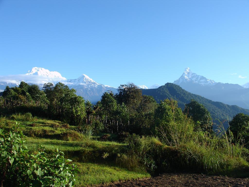 The North Face Inn Pokhara Luaran gambar